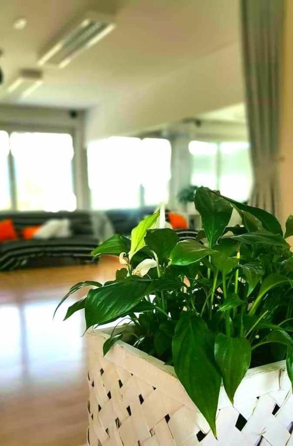 Tej Hostel Ljubljana Eksteriør bilde